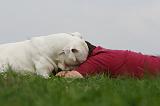 ADULTE ET CHIEN 384